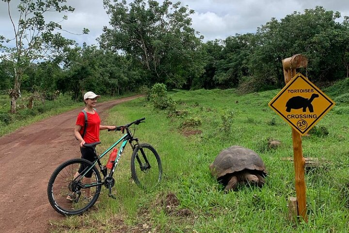 GALAPAGOS in ELECTRIC BICYCLE + Giant Turtles - Photo 1 of 6